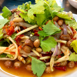 ยำมะม่วงกุ้งสด