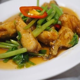 เนื้อปลาเกะพงผัดคื่นฉ่าย