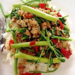 ข้าวผัดผักกระเฉดหมูสับ