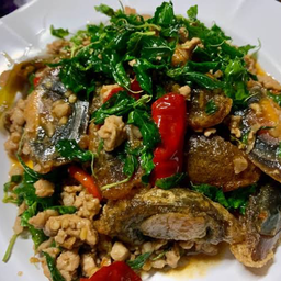 ข้าวกะเพราหมูสับไข่เยี่ยวม้า