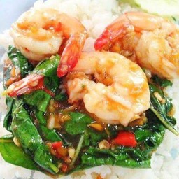 ผัดกะเพรากุ้ง-ราดข้าว