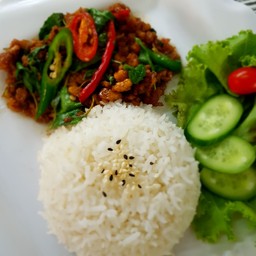 ข้าวกระเพราหมูสับเจ