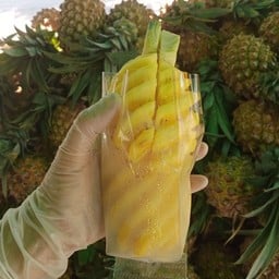 มั่นคงสัปปะรดภูแล