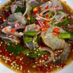 ยำแซ่บ ครัวสิตางค์