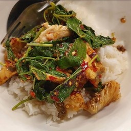 ข้าวกะเพราปลากะพง (ธรรมดา)
