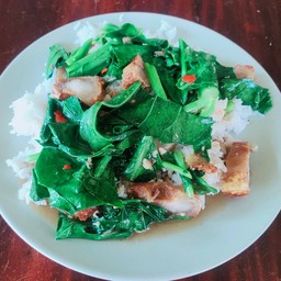 คะน้าหมูกรอบราดข้าว