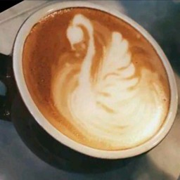 เนสวีต้า ลาเต้ ร้อน