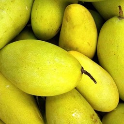 หมากไม้ เจ๊นางน้อย