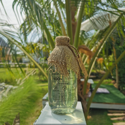 น้ำช่อดอกมะพร้าว