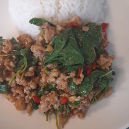 ผัดกะเพราหมูสับราดข้าว
