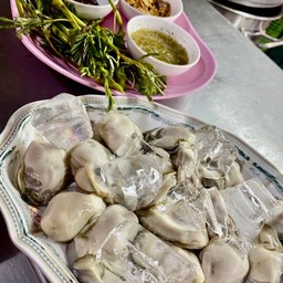 หอยนางรมสด