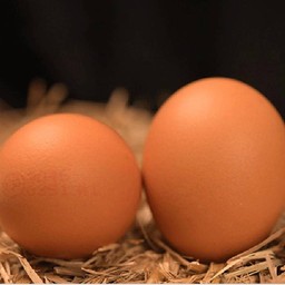 2 Organic eggs of your choice