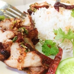 ข้าวหมูทอดนอกระบบ(fried pork informal)