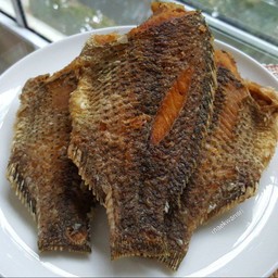 ปลานิลแดดเดียว