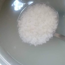 ข้าวต้มใบเตย