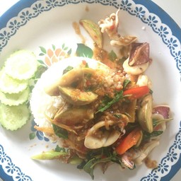 ผัดฉ่าปลาหมึกราดข้าว