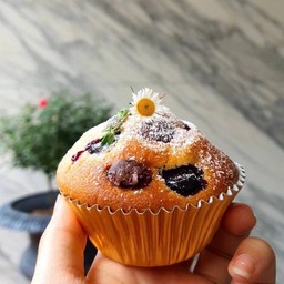 blueberry Muffin