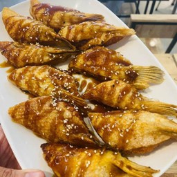 คลีบปลาย่าง