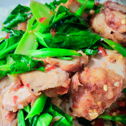 คะน้าหมูกรอบกับข้าว