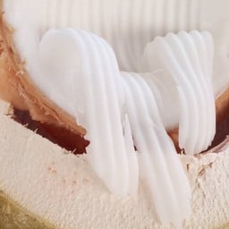 ใหม่ไอศครีมกะทิสด น้ำมะพร้าวปั่น ตลาดสวนสัตว์พูลอนันต์