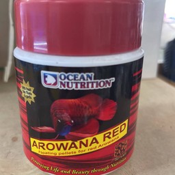 อาหารปลา AROWANA 100g