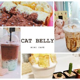 Cat Belly mini café
