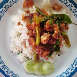 ผัดพริกเผากระดูกอ่อน