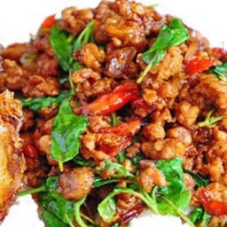 กะเพราหมูสับราดข้าว