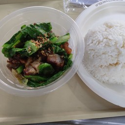 ข้าวคะน้า