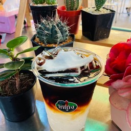 อเมริกาโน่น้ำมะพร้าว