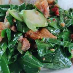 คะน้าไฟแดง