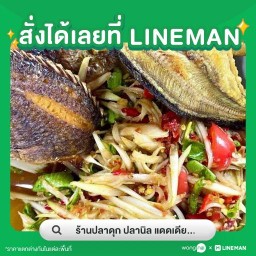 ปลาดุกปลานิลแดดเดียว  ไข่ไก่สด สาขา5