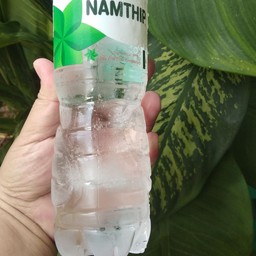 น้ำเปล่า