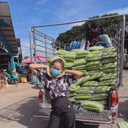 ณิชาค้าส่ง