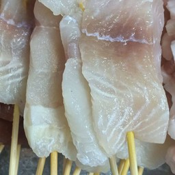 ปลาดอลลี่