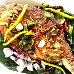 ร้านลาบไก่งวงสกลนคร (บายพาส)