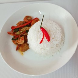 ป้าตุ๊กกระเพรา