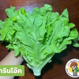 ฮักออร์แกนิคสลัด หมื่นไวย