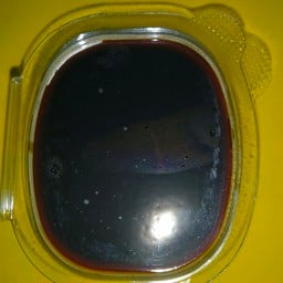 ปาท่องโกสเปน