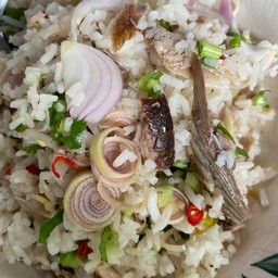ข้าวแมวหลงดง