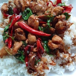 ข้าวราดโหระพาไก่ชิ้น