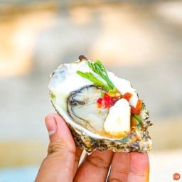 สาหร่ายพวงองุ่นหอยนางรม