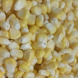 ข้าวโพดแกะเม็ด ดิบ