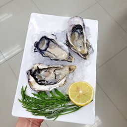 หอยนางรมฝาพร้อมเครื่องเคียง