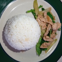 ผัดคะน้าหมูราดข้าว