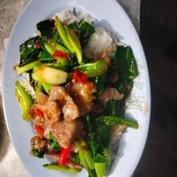 ผัดคะน้าหมูมักราดข้าว