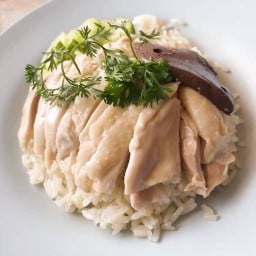 ณัชชาข้าวมันไก่ตอน(บางปลา)
