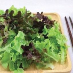 สลัดผัก