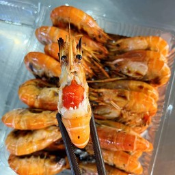 กุ้งหัวมันแก้ว ครึ่งกิโล