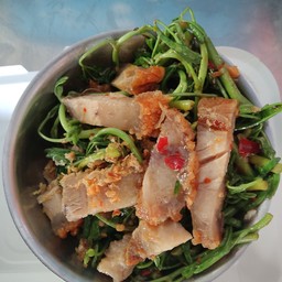 กระเฉดไฟแดง